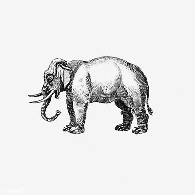 Elephant Research Company